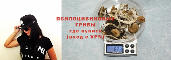 стаф Абинск