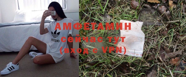 стафф Абаза