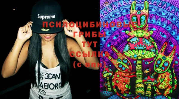стафф Абаза