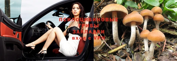стафф Абаза