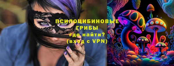 стафф Абаза