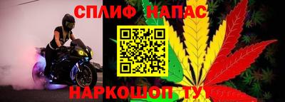 спайс Гусь-Хрустальный