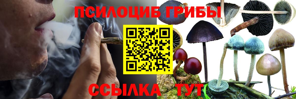 Галлюциногенные грибы GOLDEN TEACHER Назрань