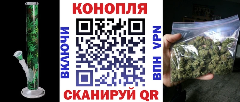 Шишки марихуана план  блэк спрут зеркало  Назрань 